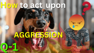 How to act upon AGGRESSION